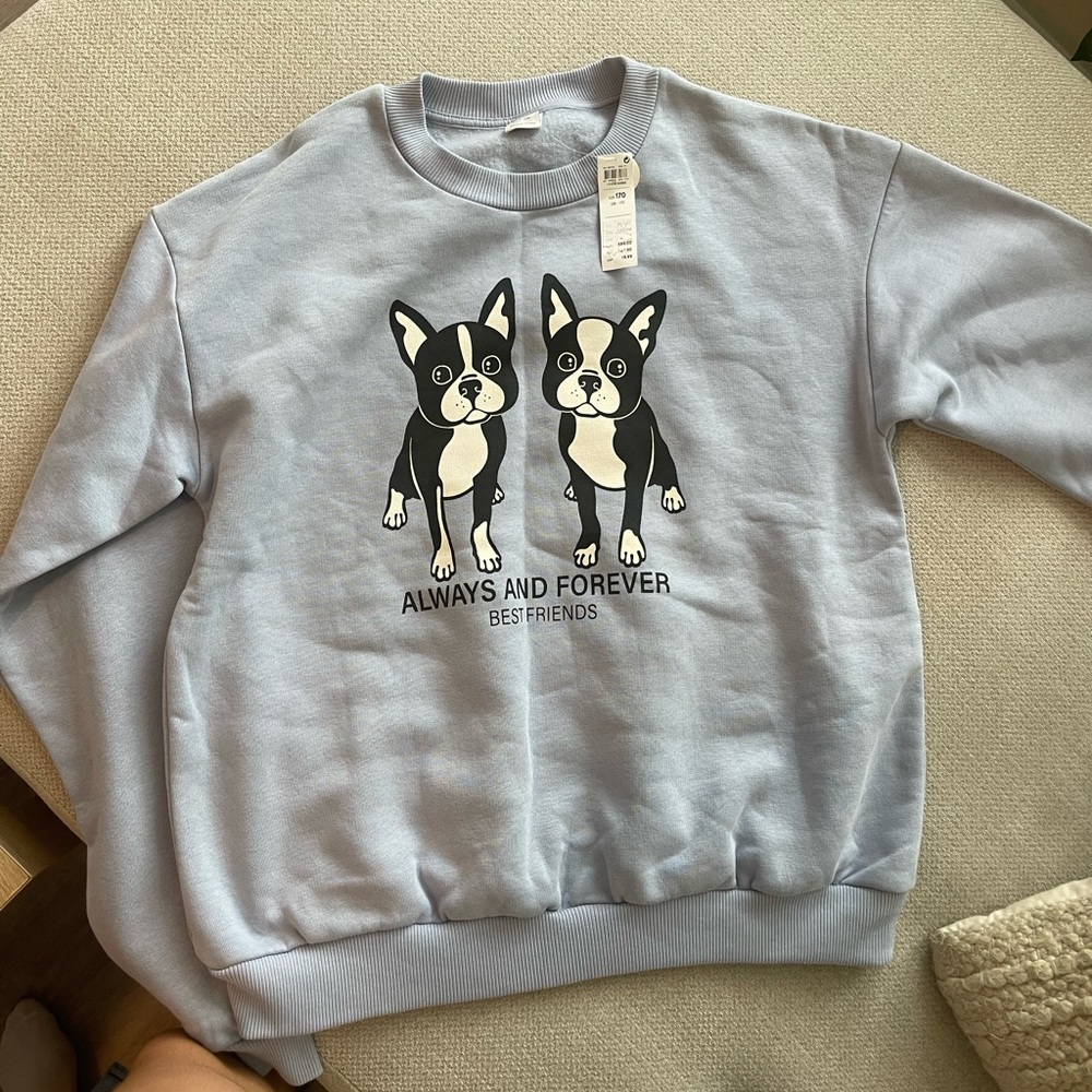 Lindex Kids bulldog sweatshirt. Light blue. Size EUR 170 (Girls 8-15)